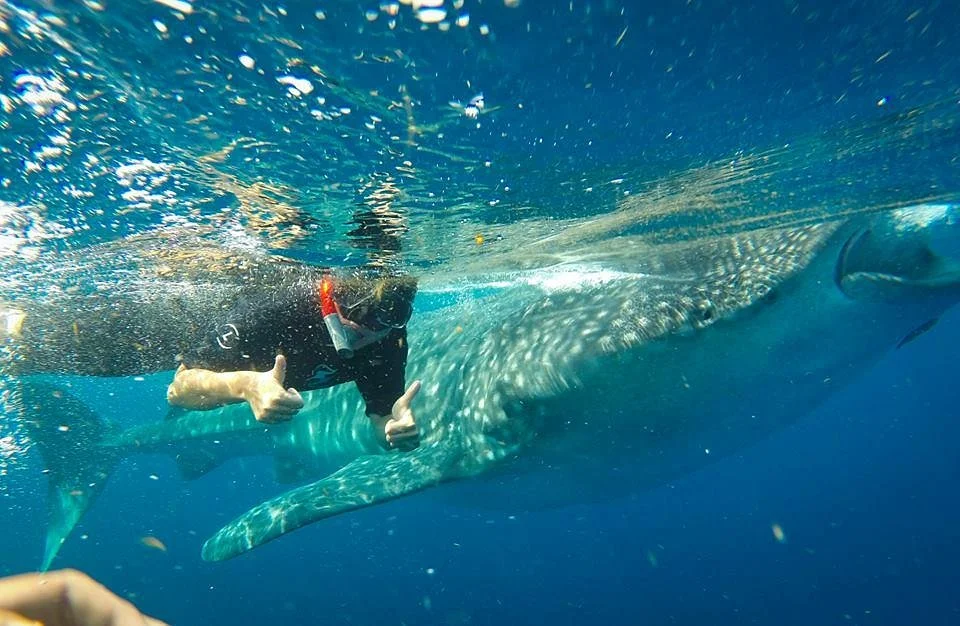 La Paz VIP Tours