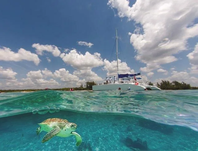 Paradise Catamarans