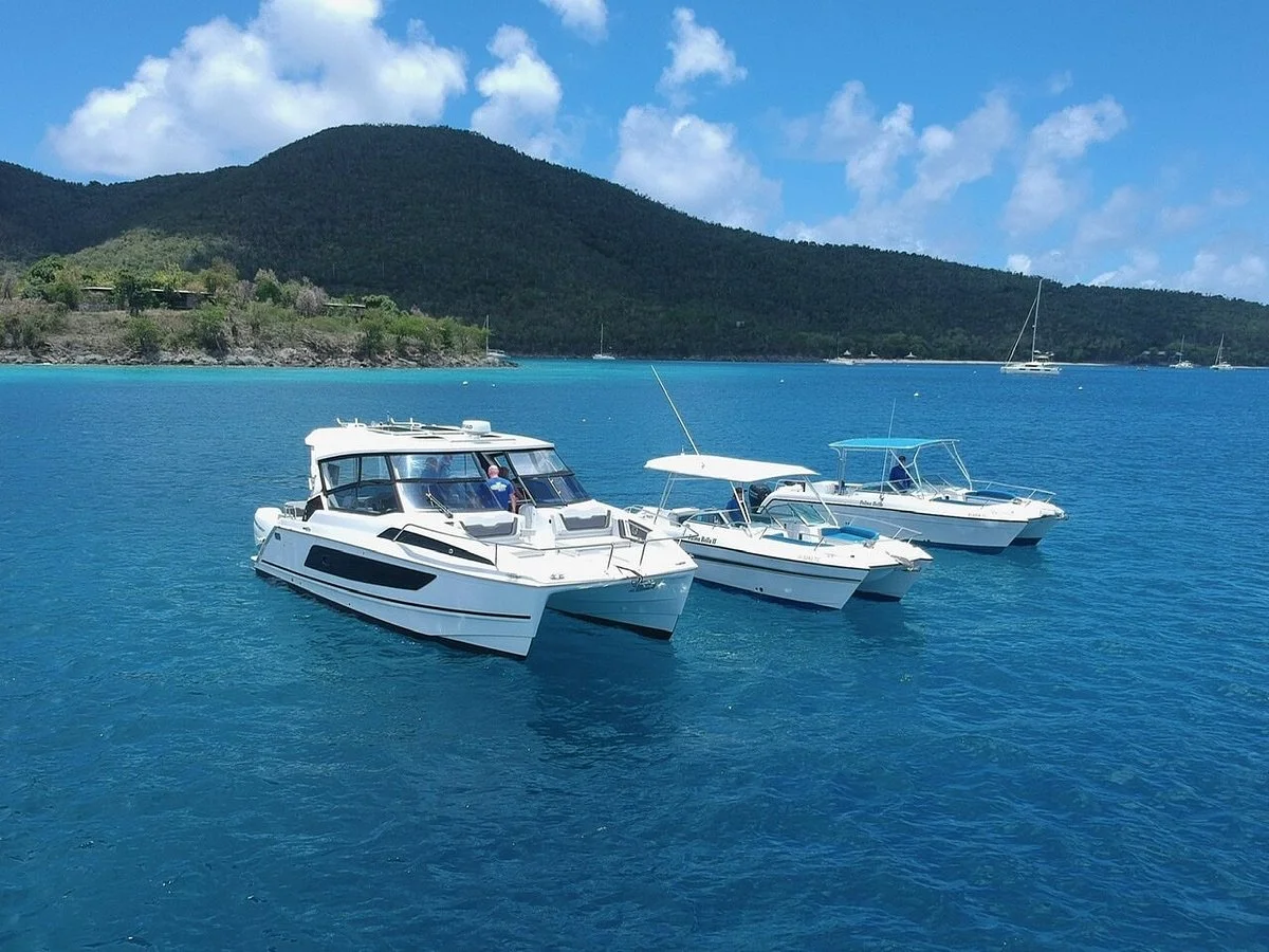 Palm Tree Charters