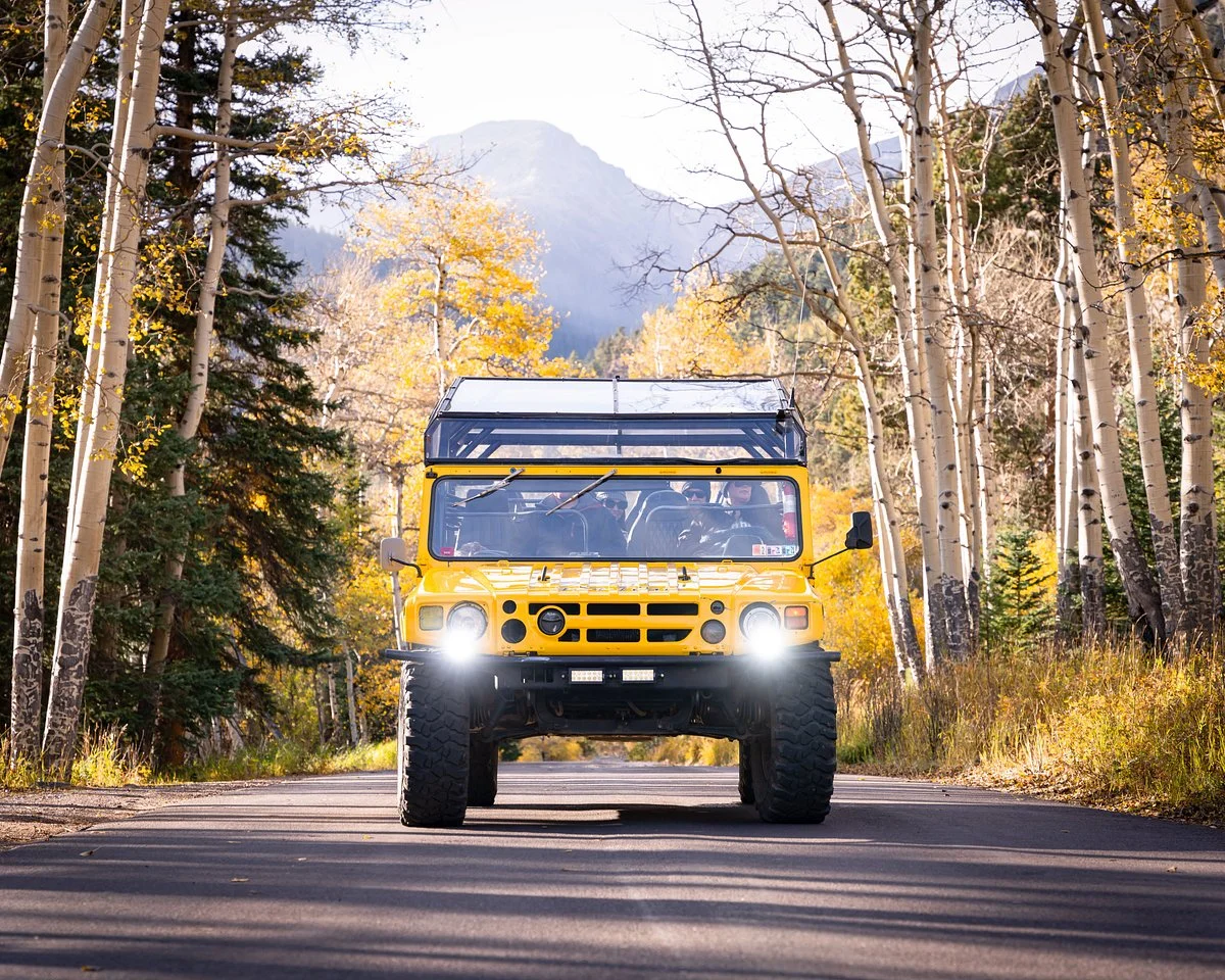 WildSide 4x4 Tours