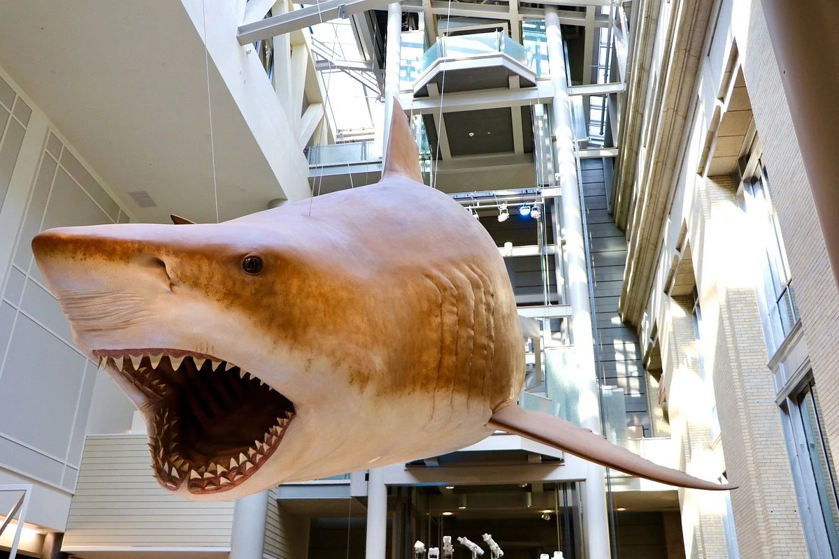Smithsonian National Museum of Natural History