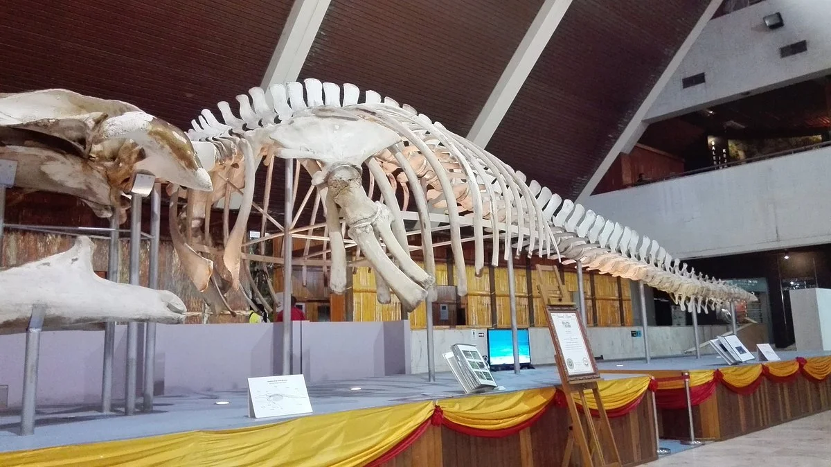 Sabah State Museum