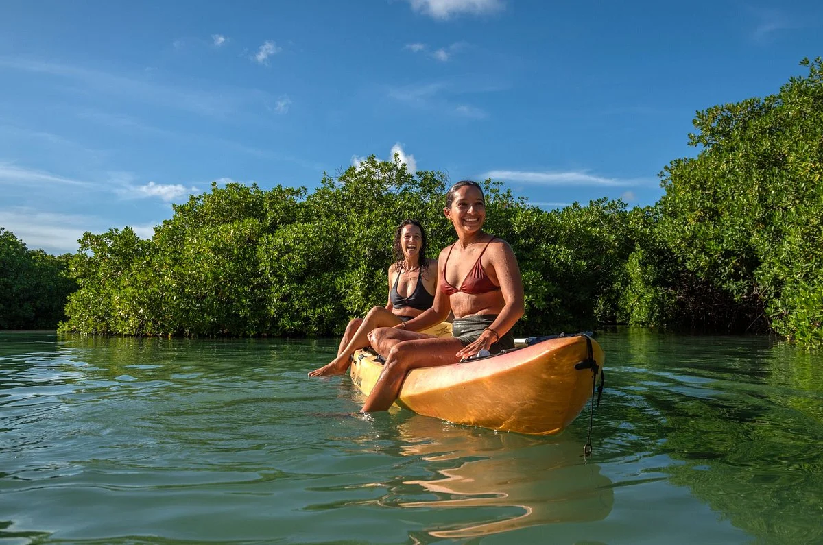 Mangrove Information Center