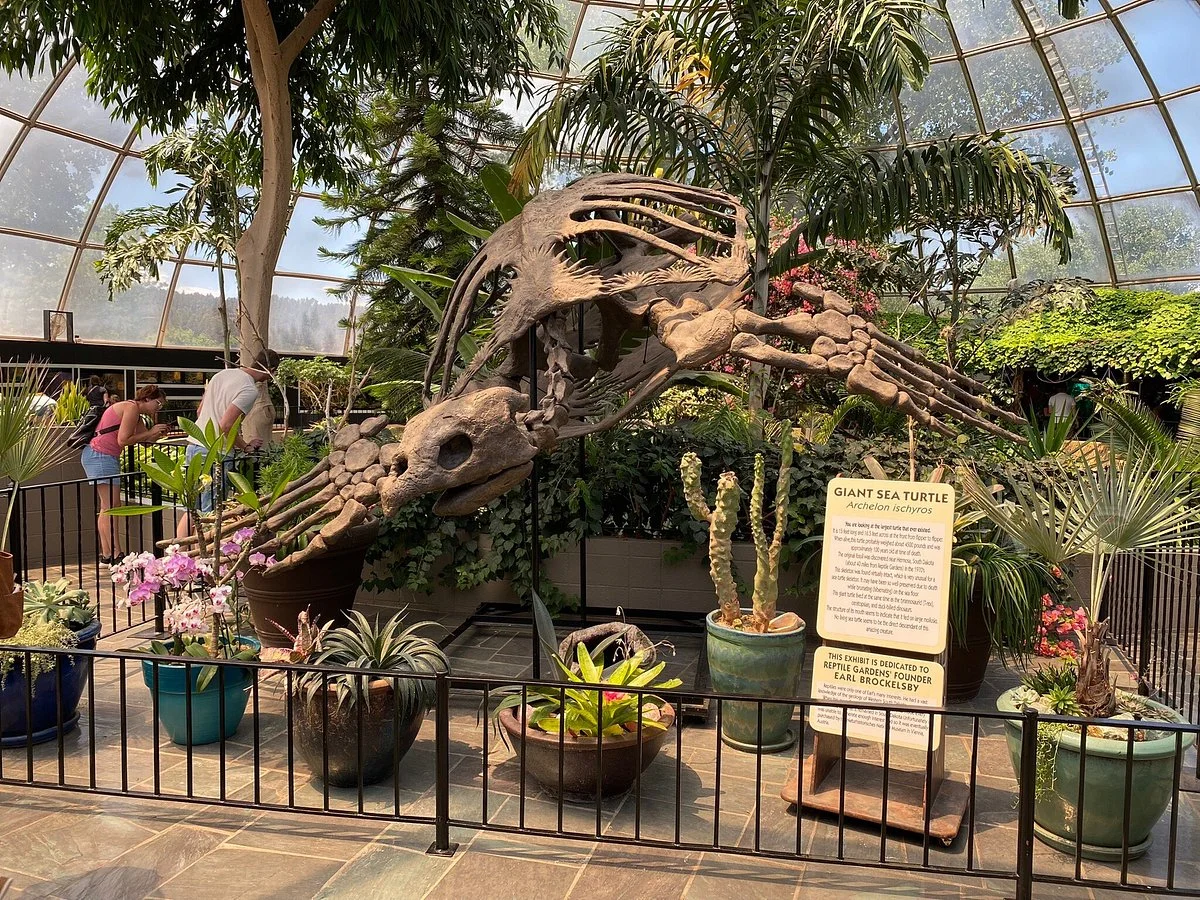 Reptile Gardens