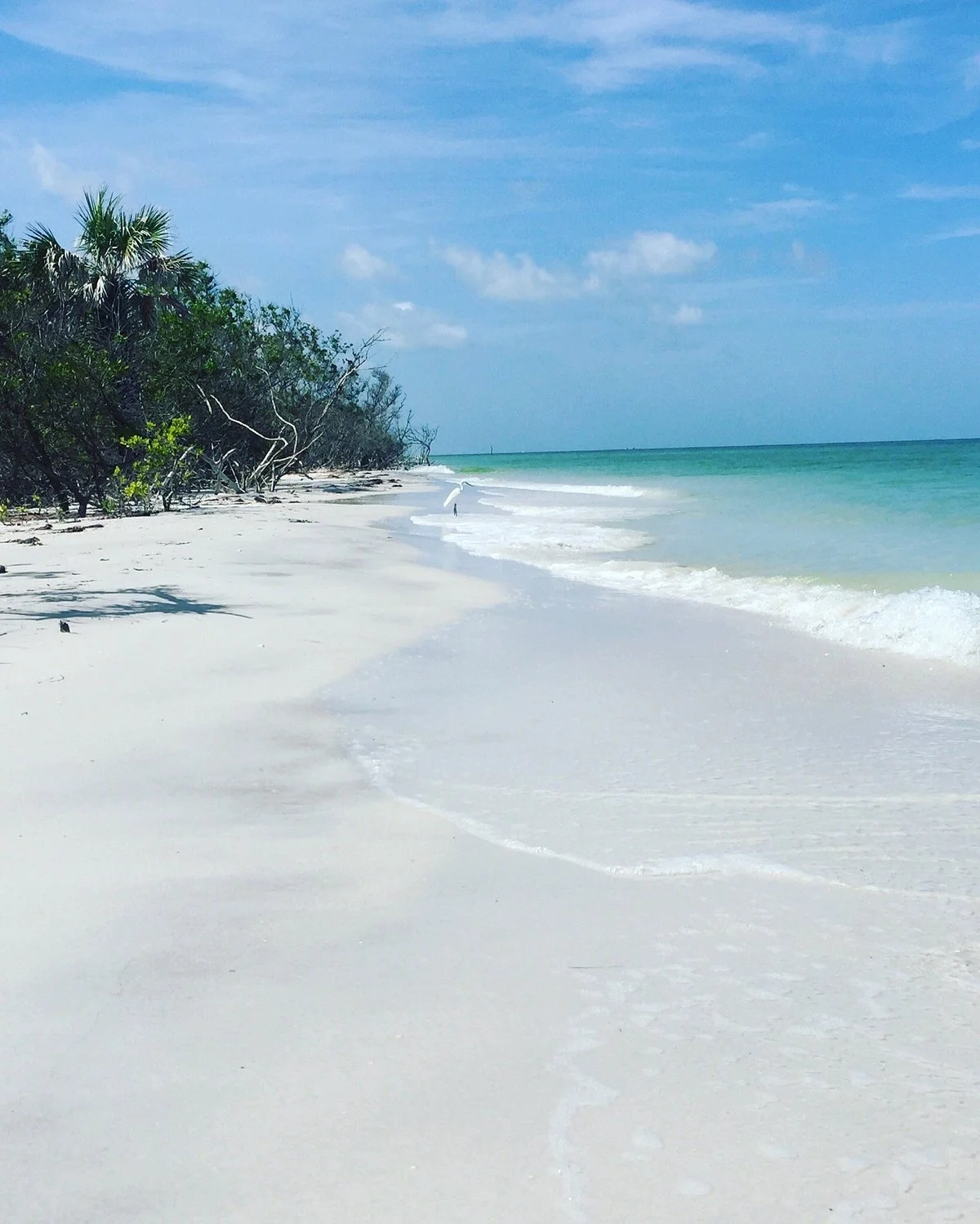 Caladesi Island State Park