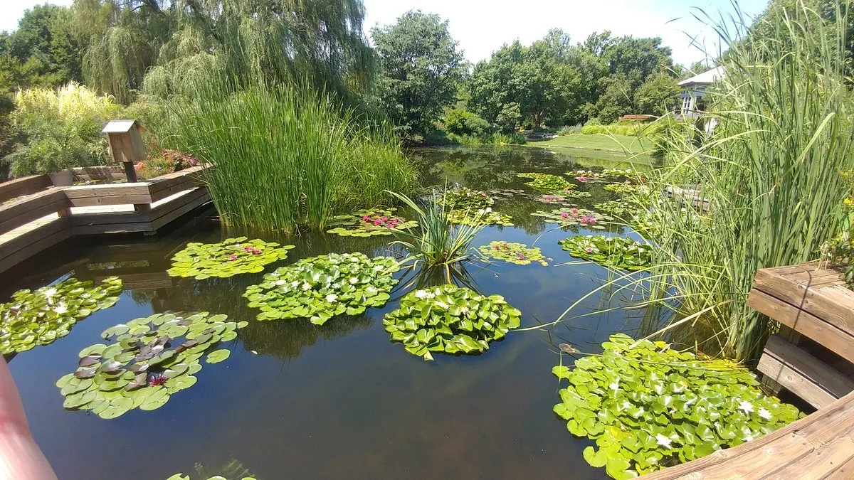 Botanica: The Wichita Gardens