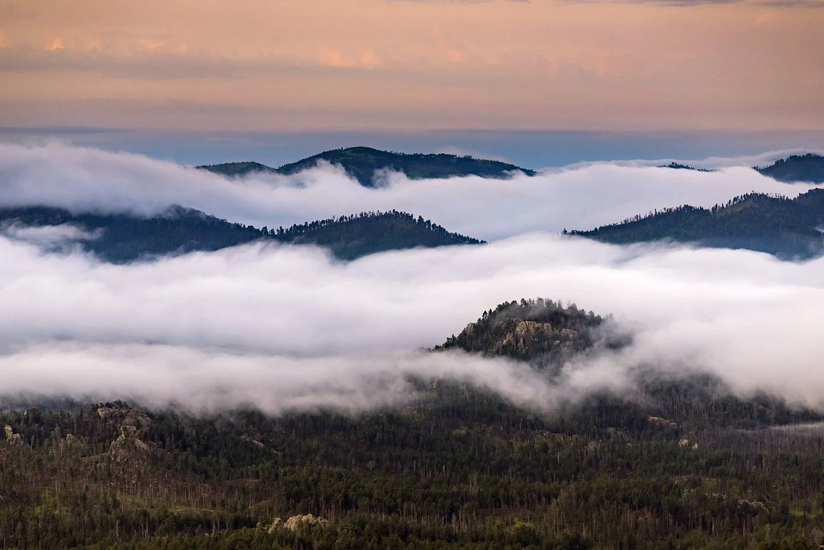 Custer State Park