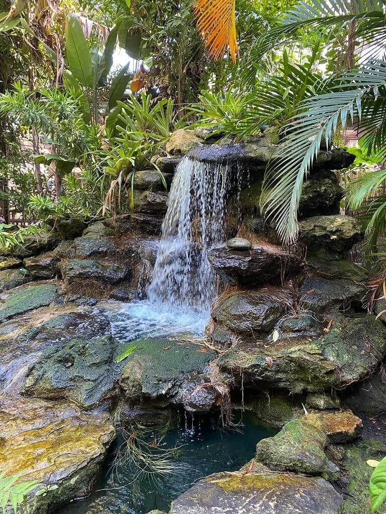 Marie Selby Botanical Gardens