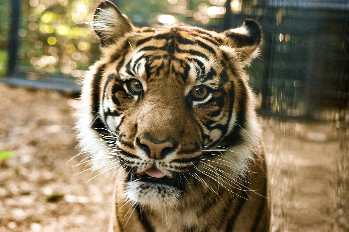 Fort Wayne Children's Zoo