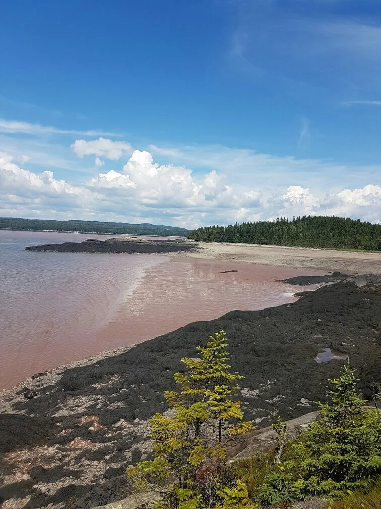 Irving Nature Park