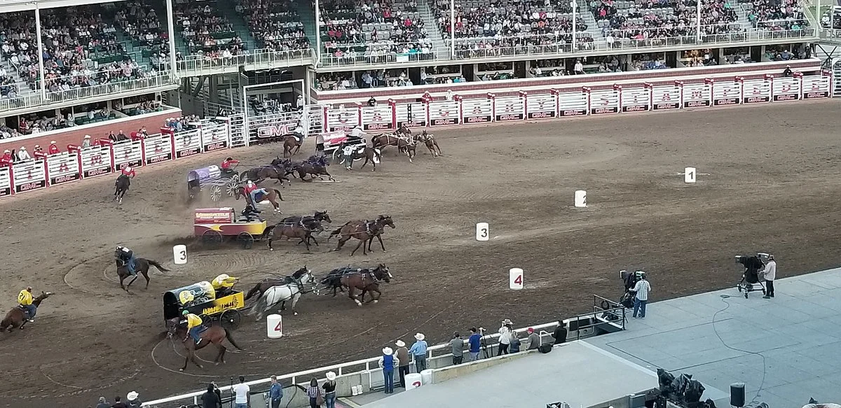 Calgary Stampede