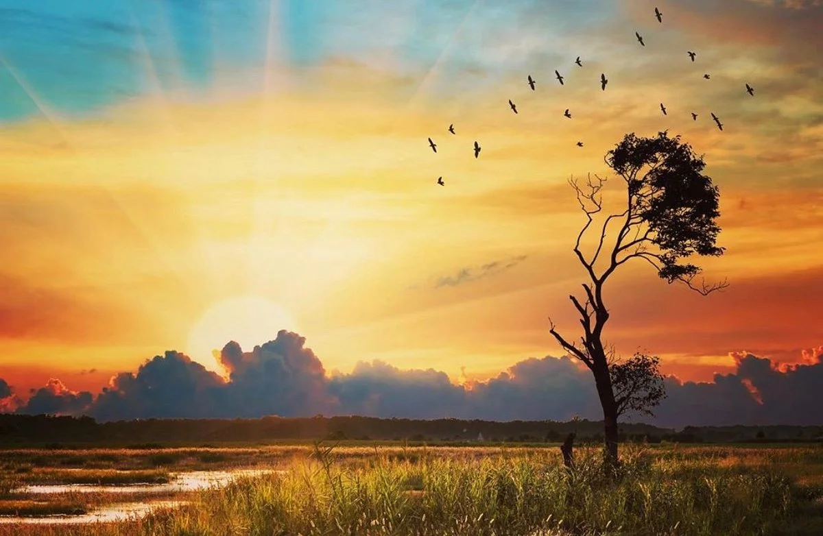 Bombay Hook National Wildlife Refuge