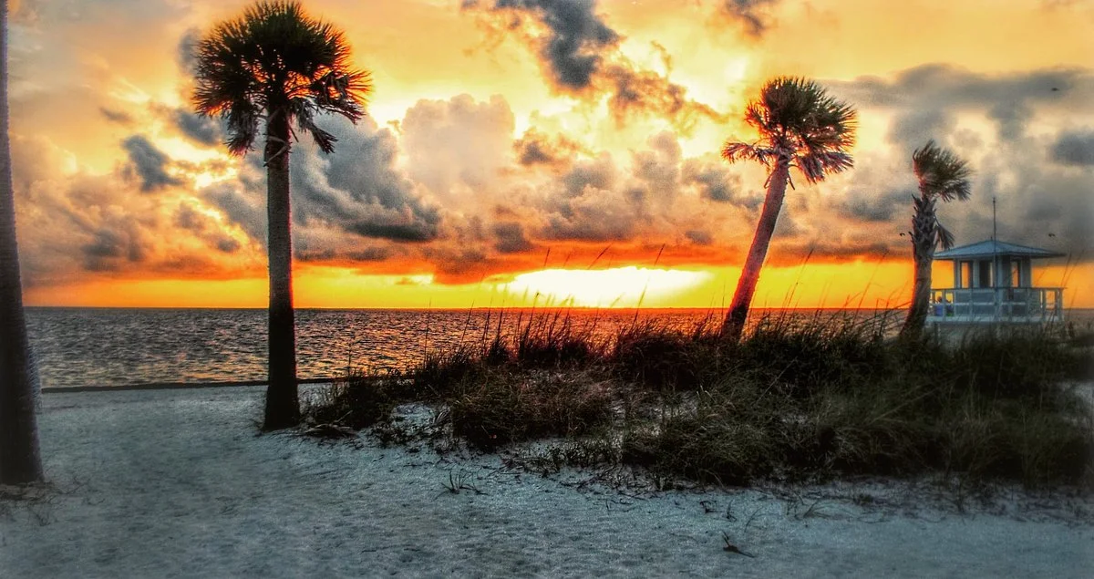 Fred Howard Park