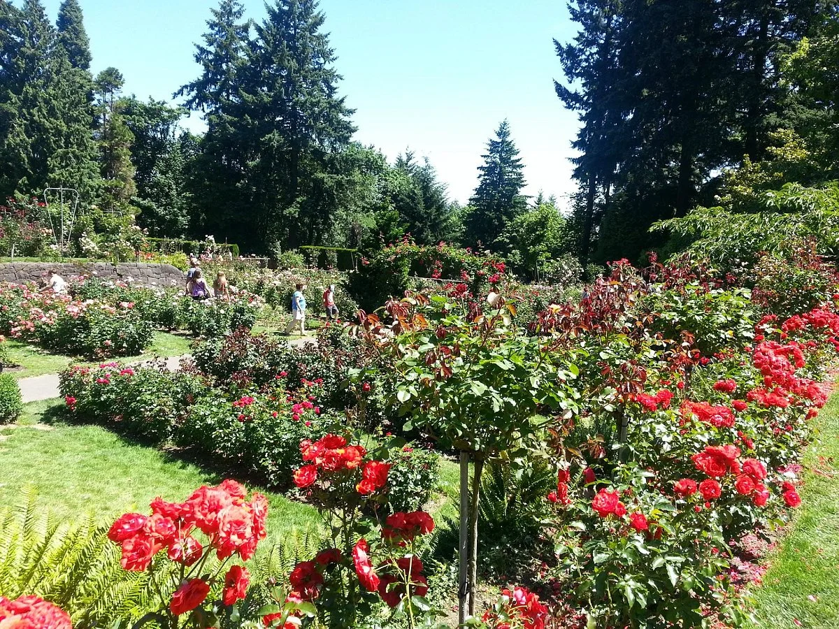 Washington Park