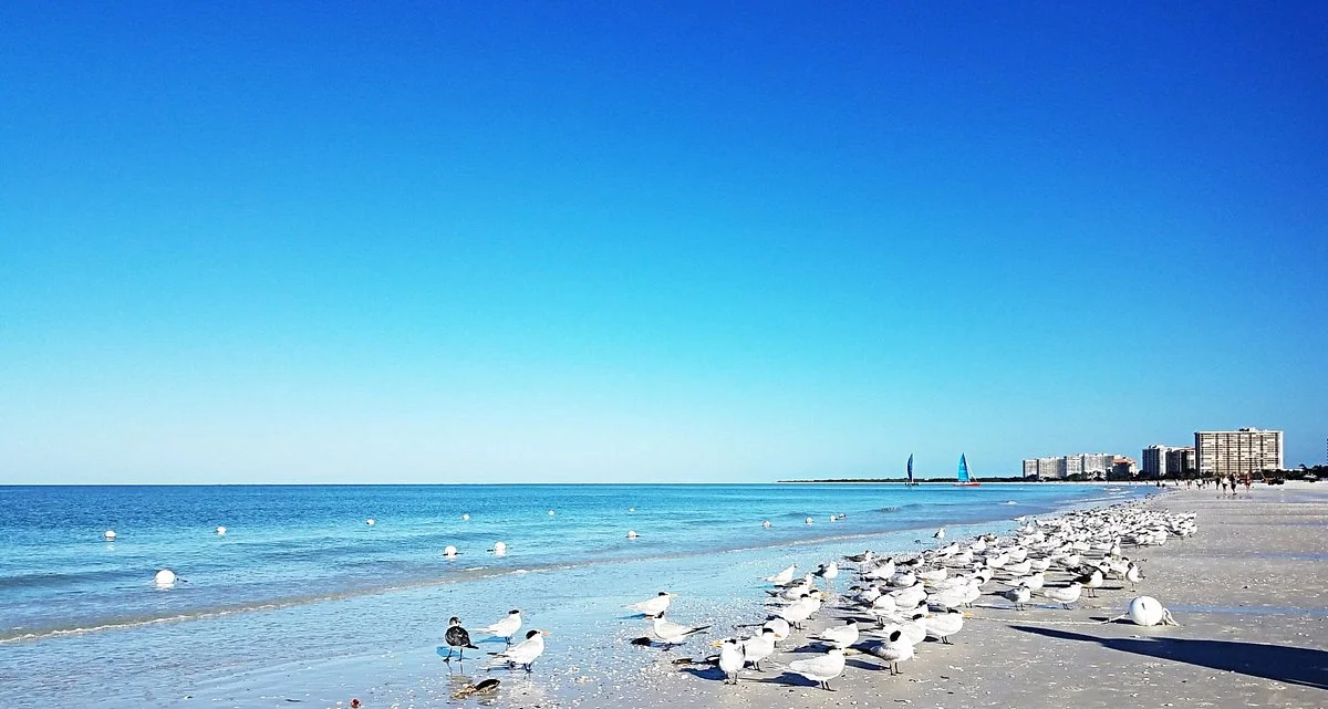 South Marco Beach