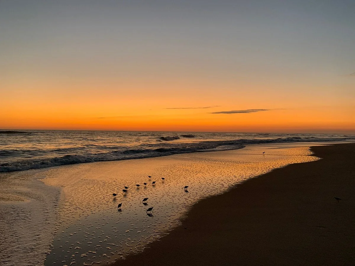 Jetty Park Beach & Pier