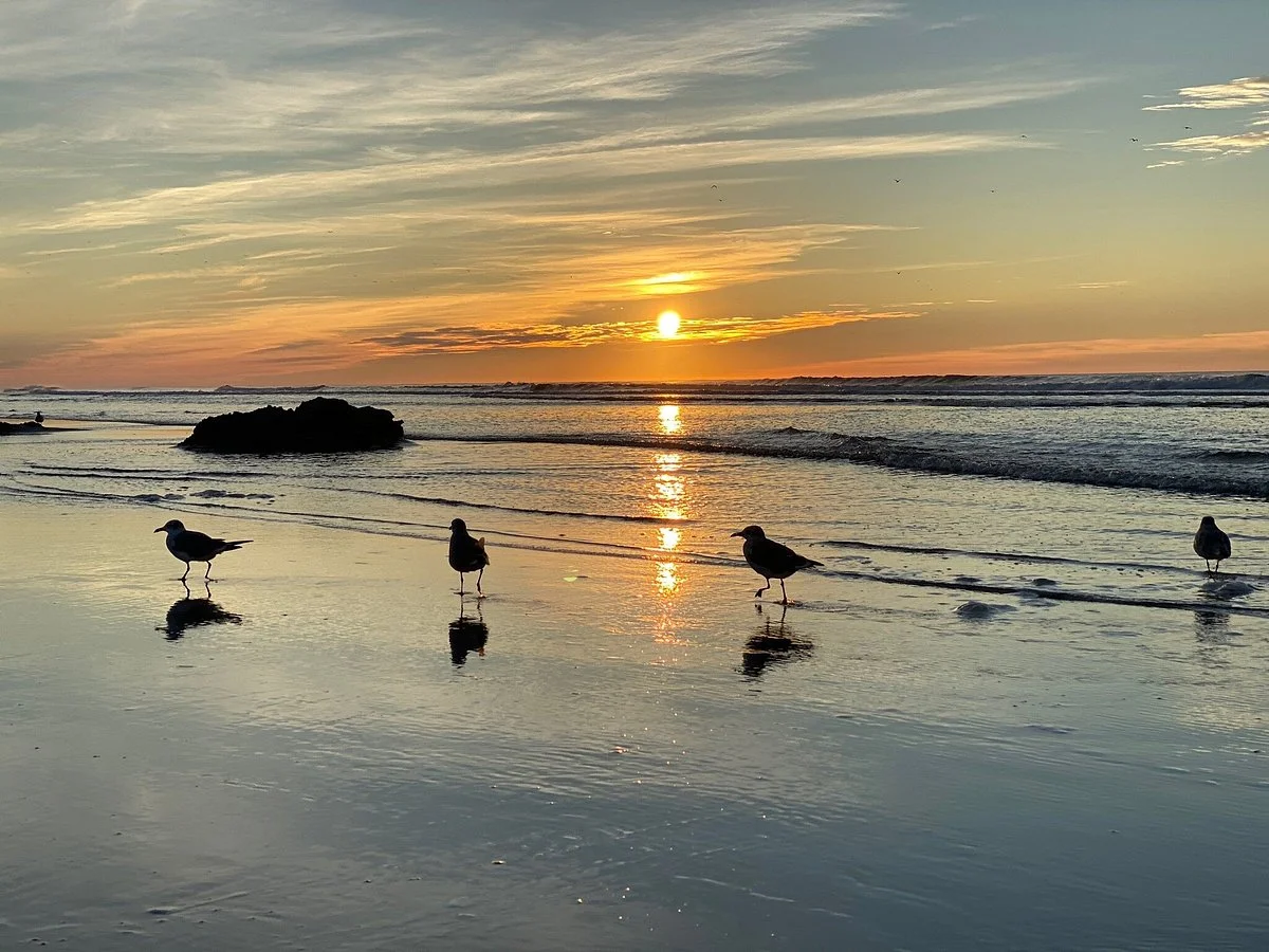Wildwood Beach