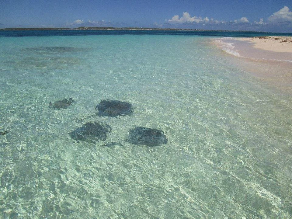 Gibbs Cay