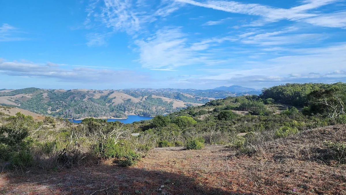 Tilden Regional Park
