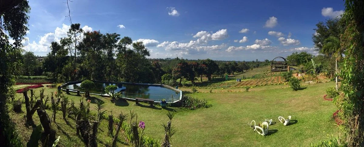 Paradizoo