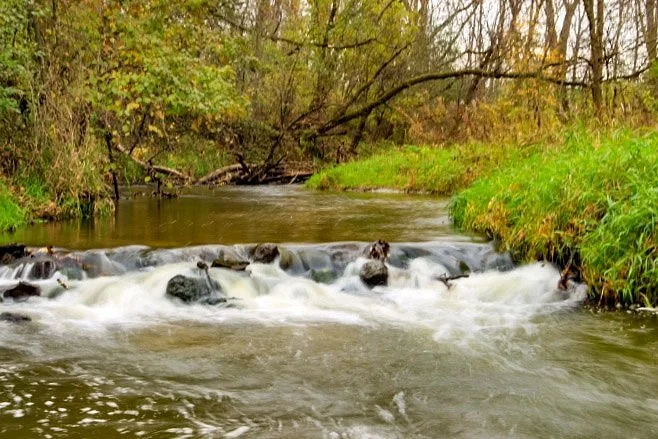 Quarry Hill Nature Center