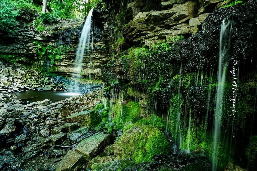 Hilton Falls Conservation Area