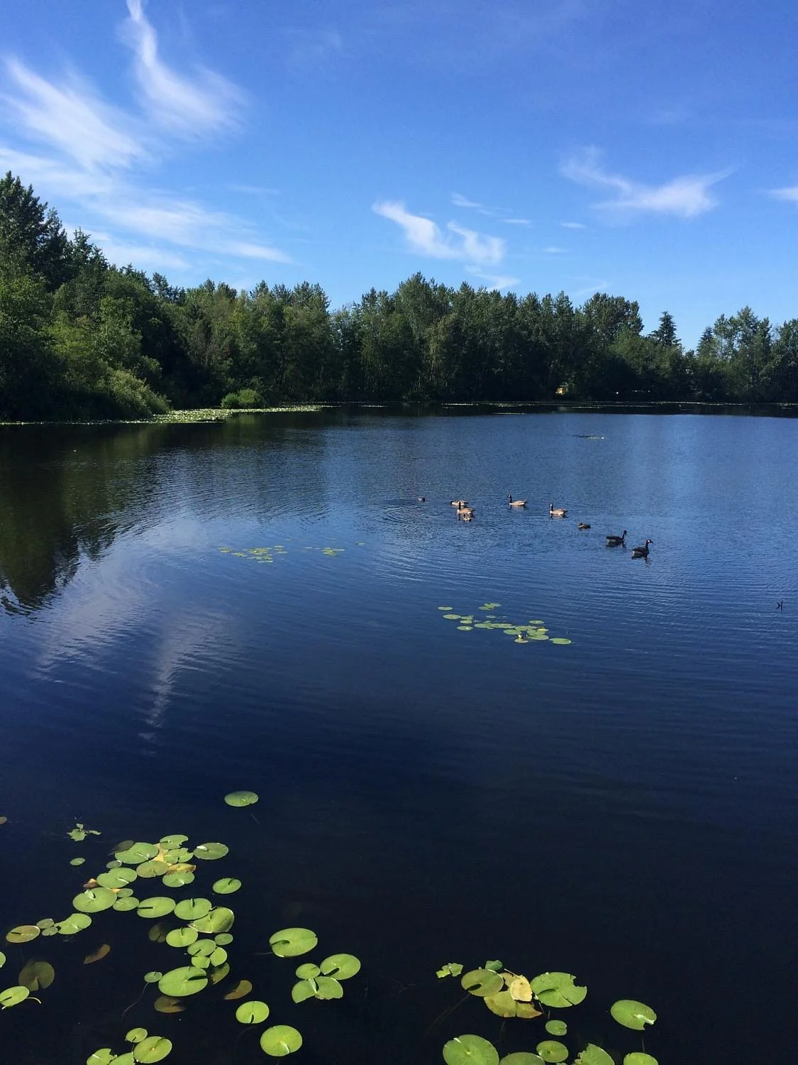 Mill Lake