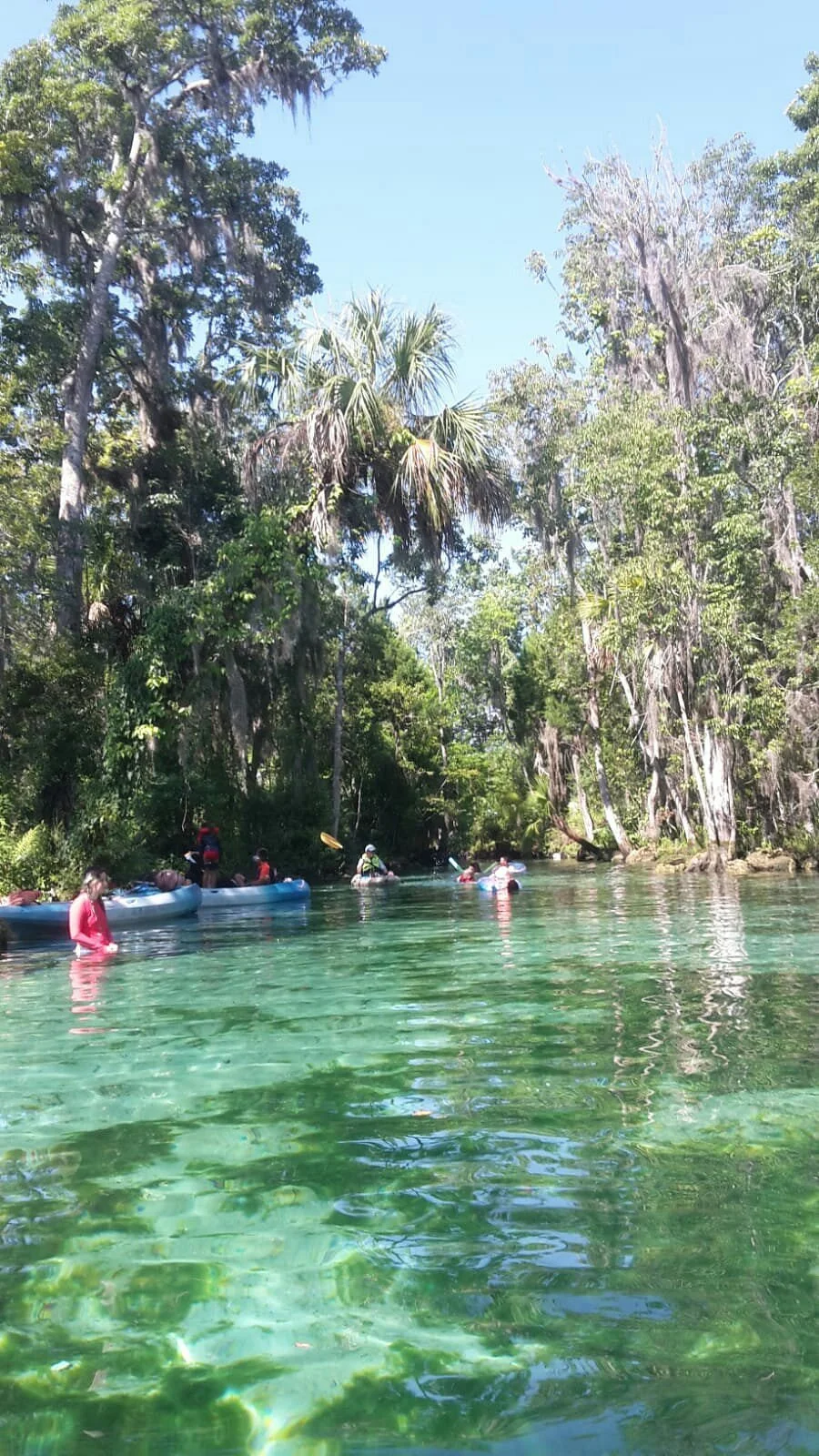 Crystal River