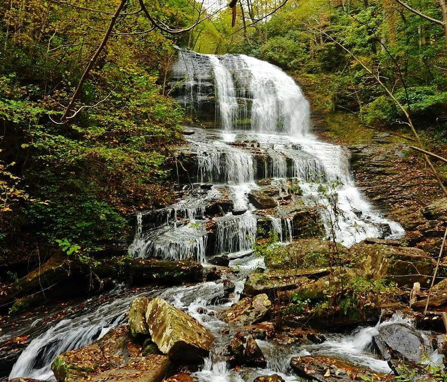 Pearson's Falls