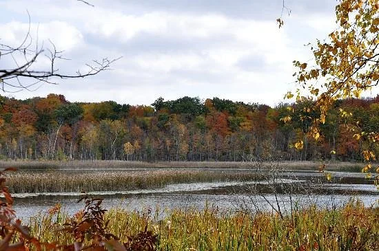 Kettle Moraine State Forest