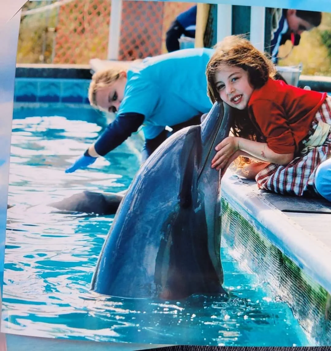 The Institute for Marine Mammal Studies