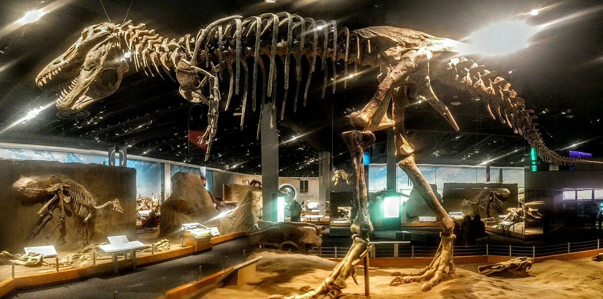 Royal Tyrrell Museum