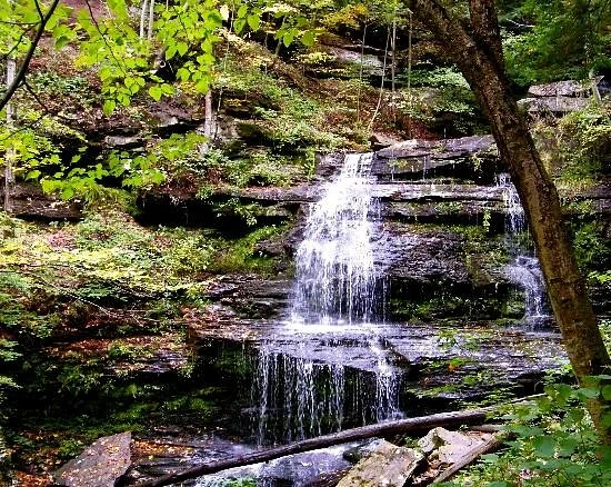 Pine Creek Gorge