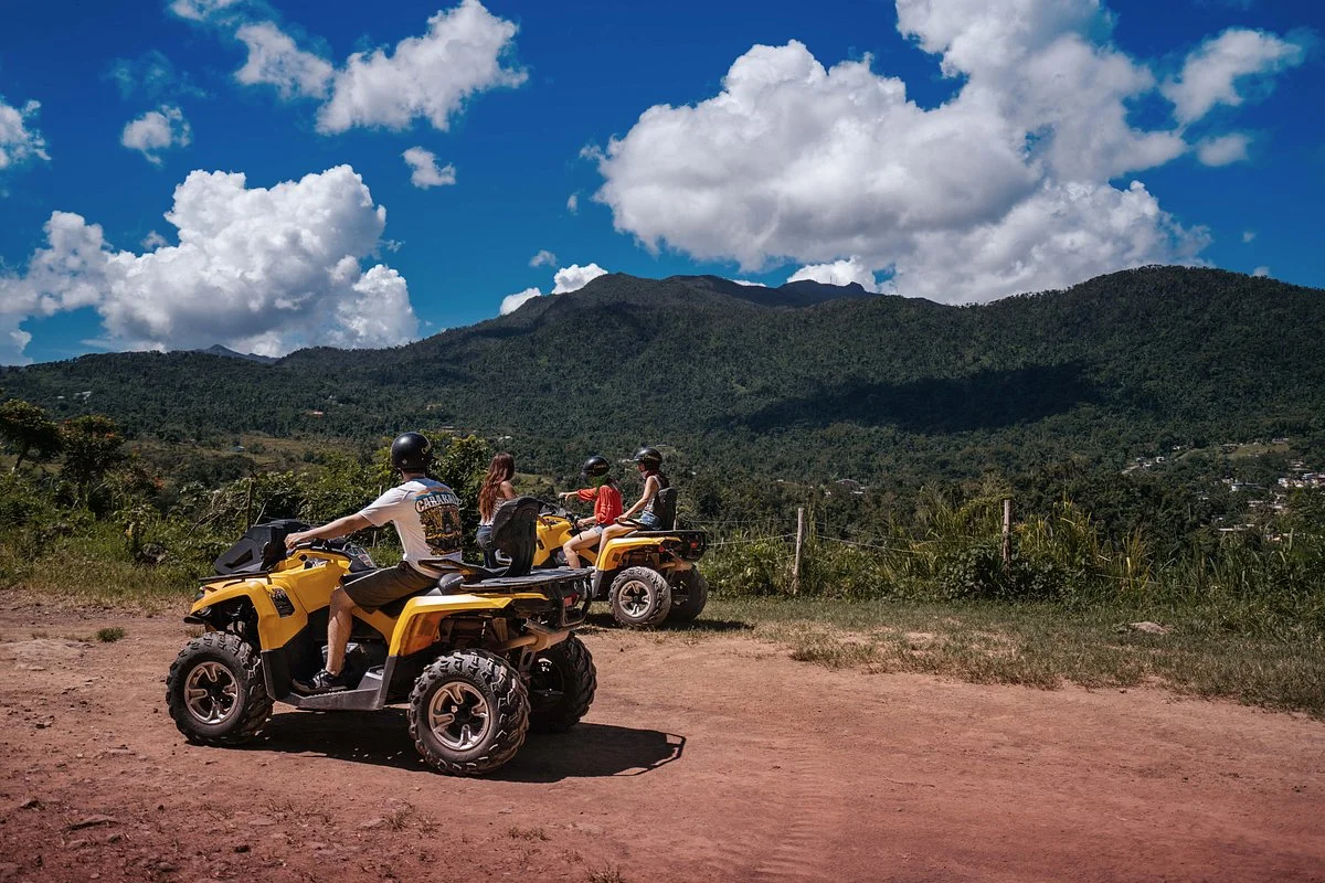 Carabali Rainforest Park