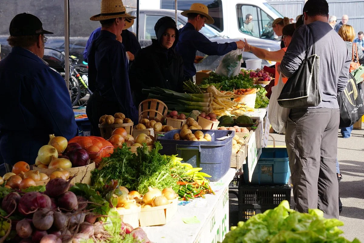 Fredericton Boyce Farmers Market