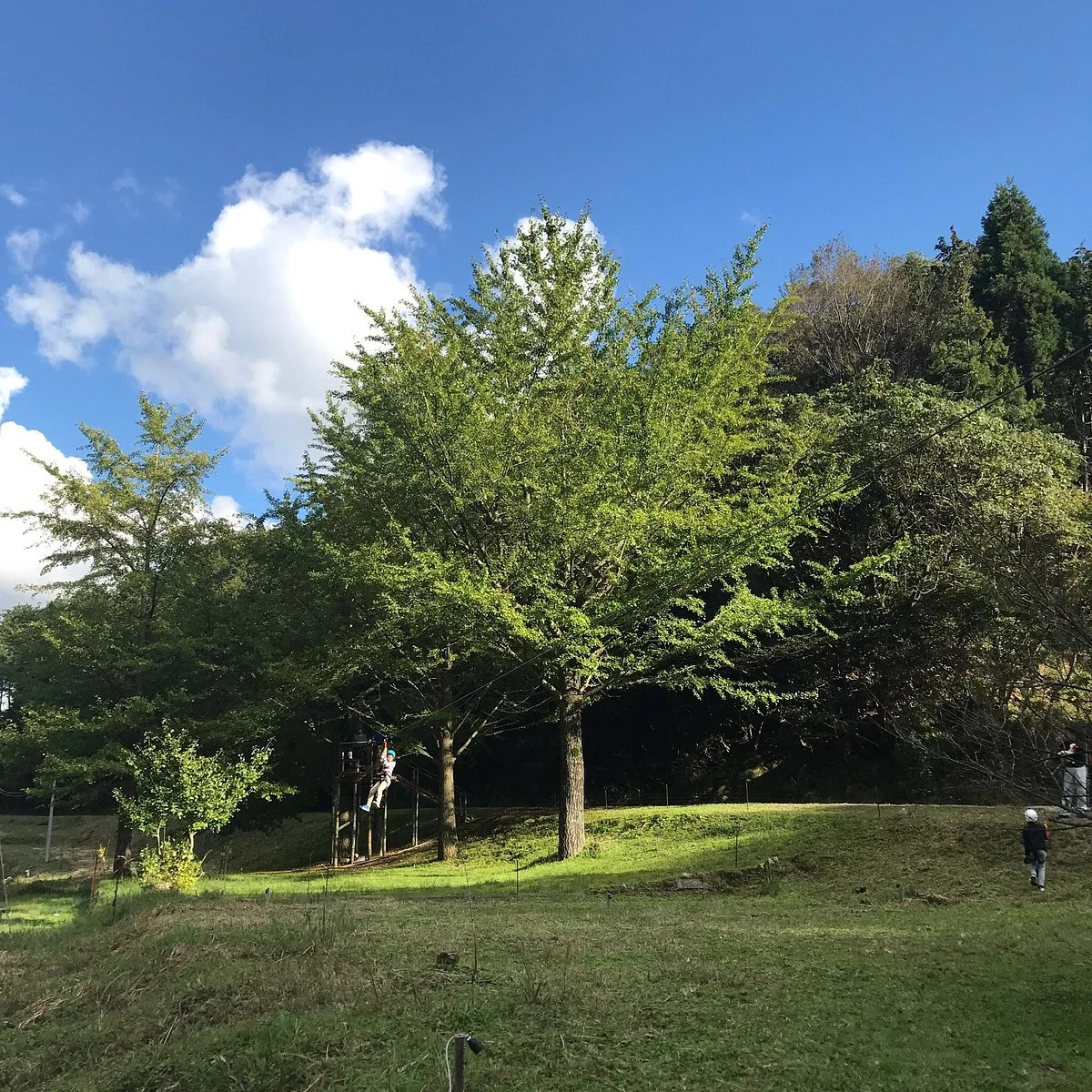 Hikihara Pass