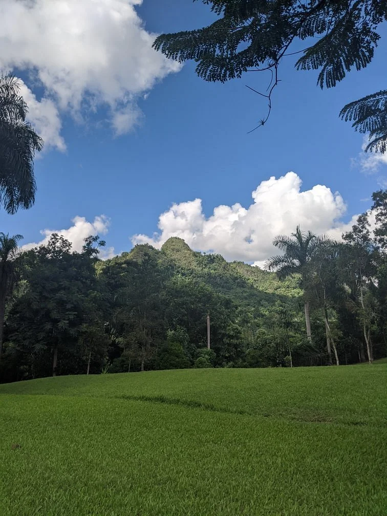Parque Ceremonial Indigena de Caguana