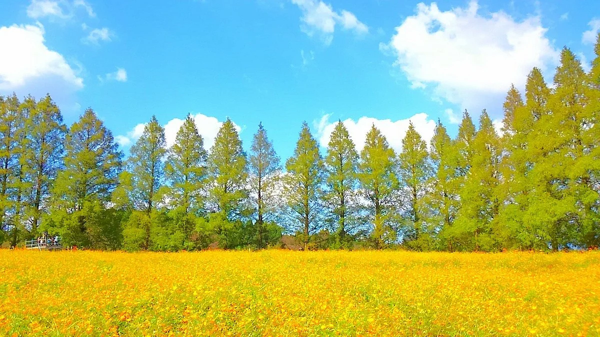 Ikoma Highlands