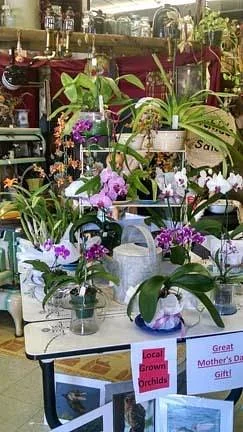 Sherman's Antiques