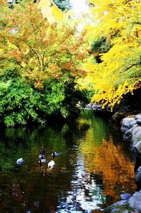 Lithia Park