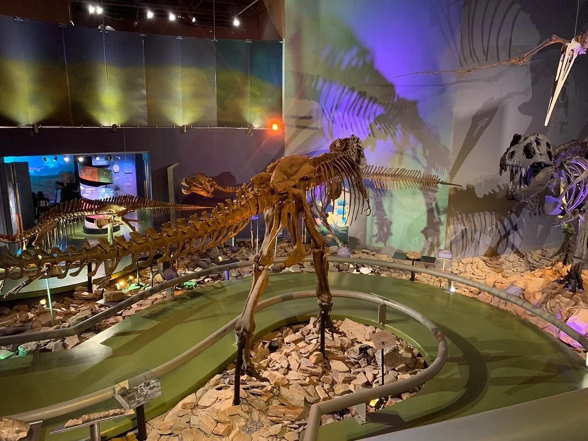 Museo del Desierto