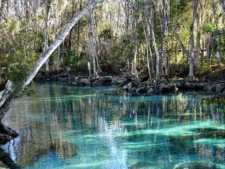 Crystal River National Wildlife Refuge