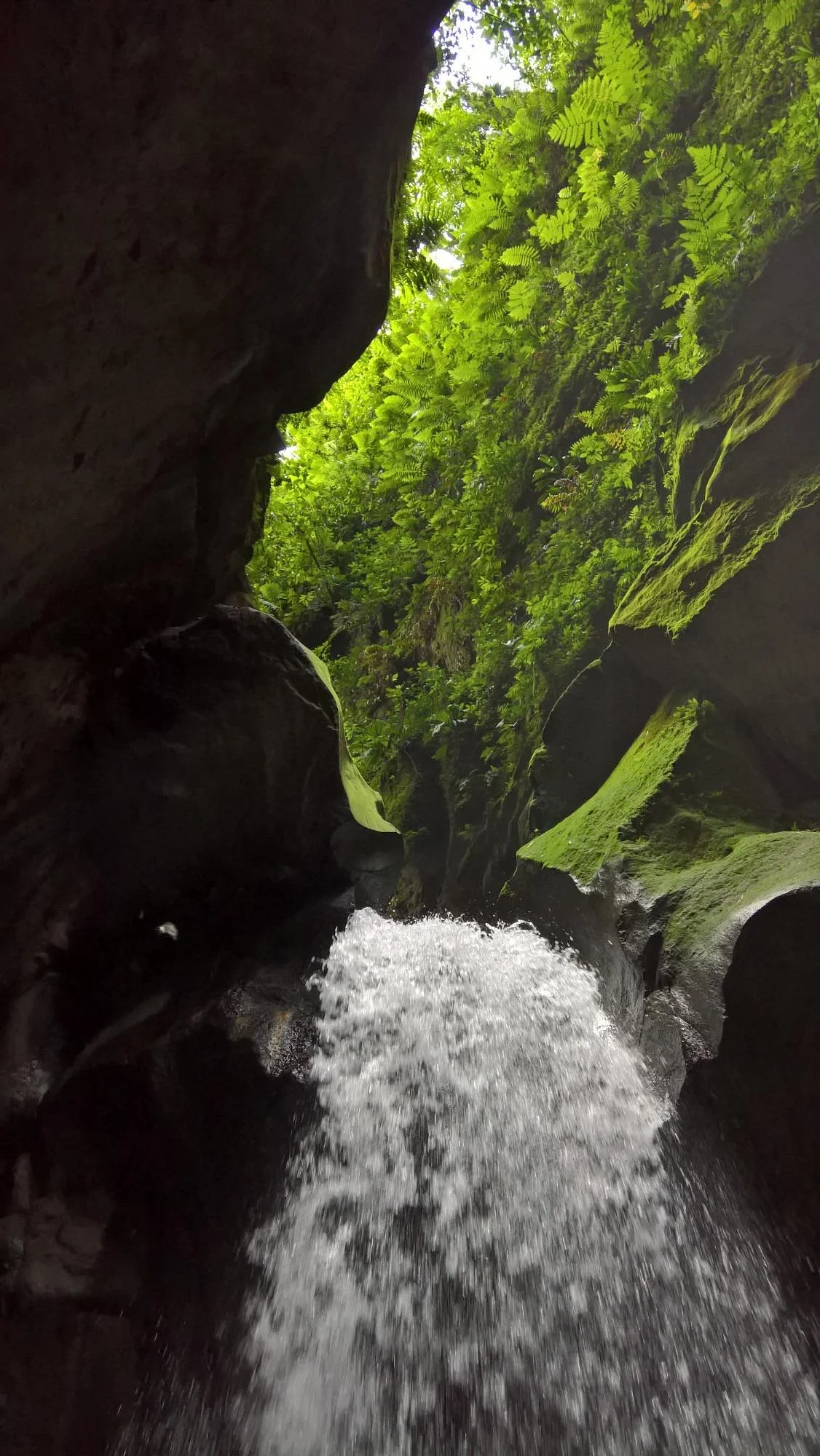 Les Gorges de la Falaise