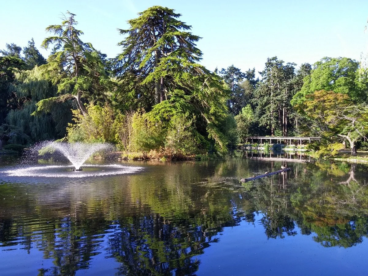 Beacon Hill Park
