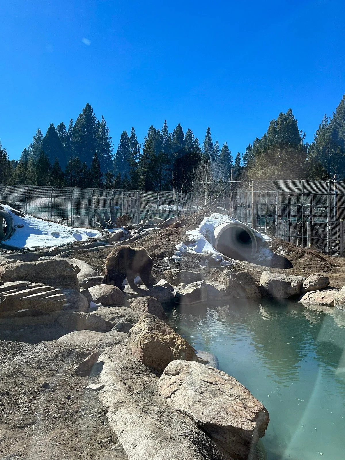 Big Bear Alpine Zoo at Moonridge