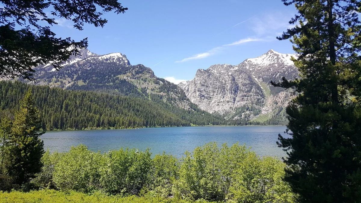 Laurance Rockefeller Preserve