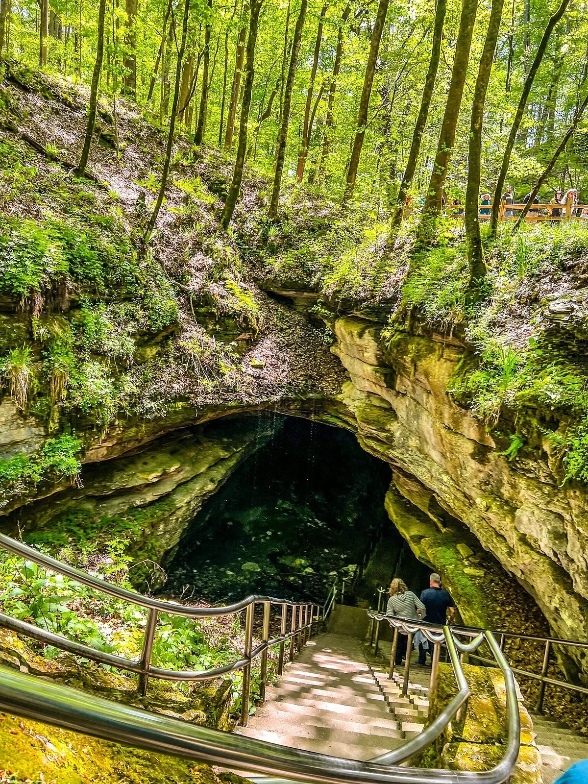 Mammoth Cave