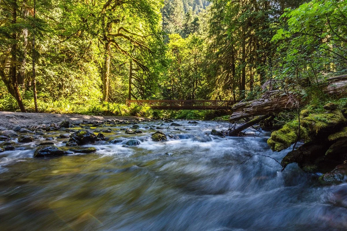 Marymere Falls