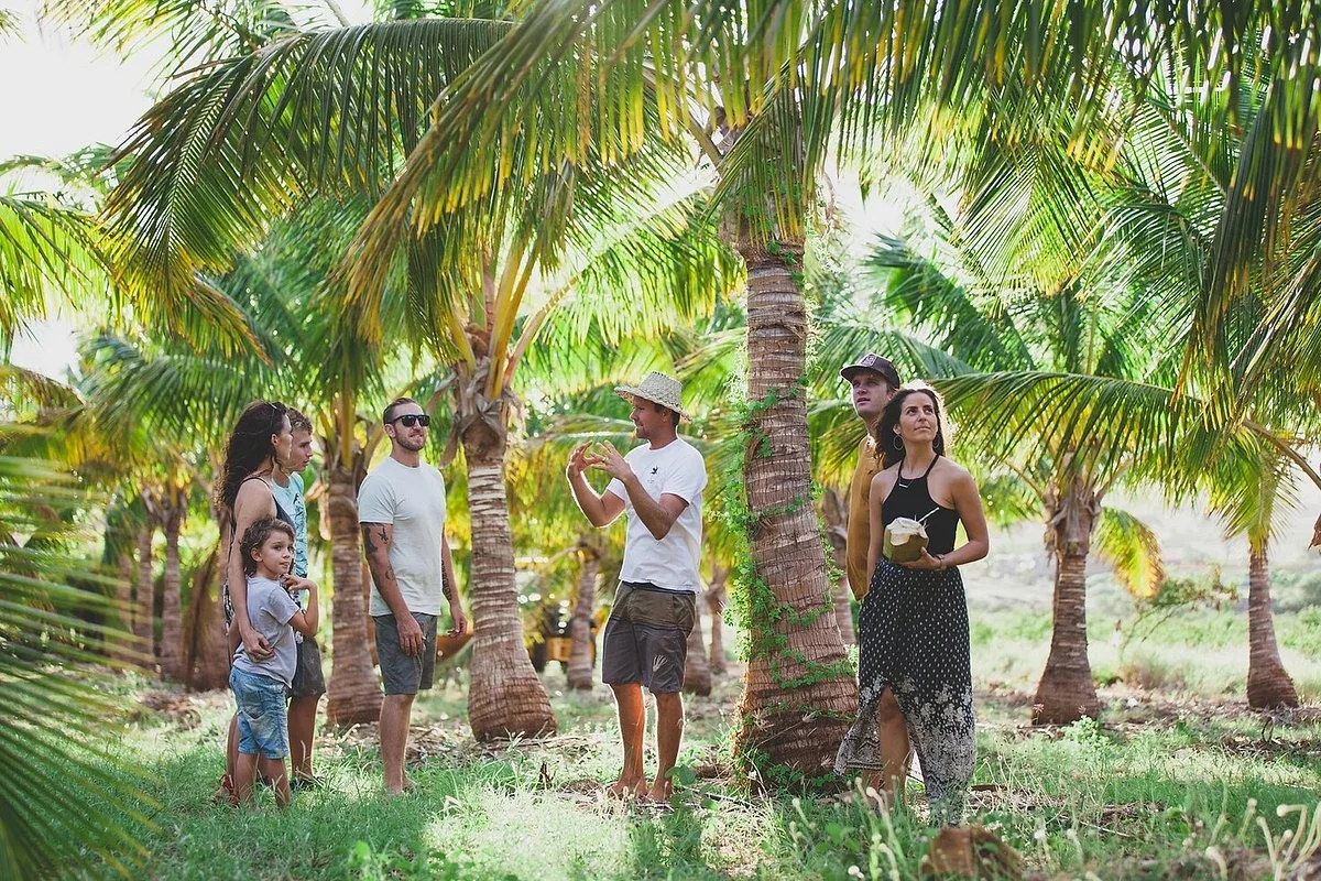 Maui Coconut Tour at Punakea Palms