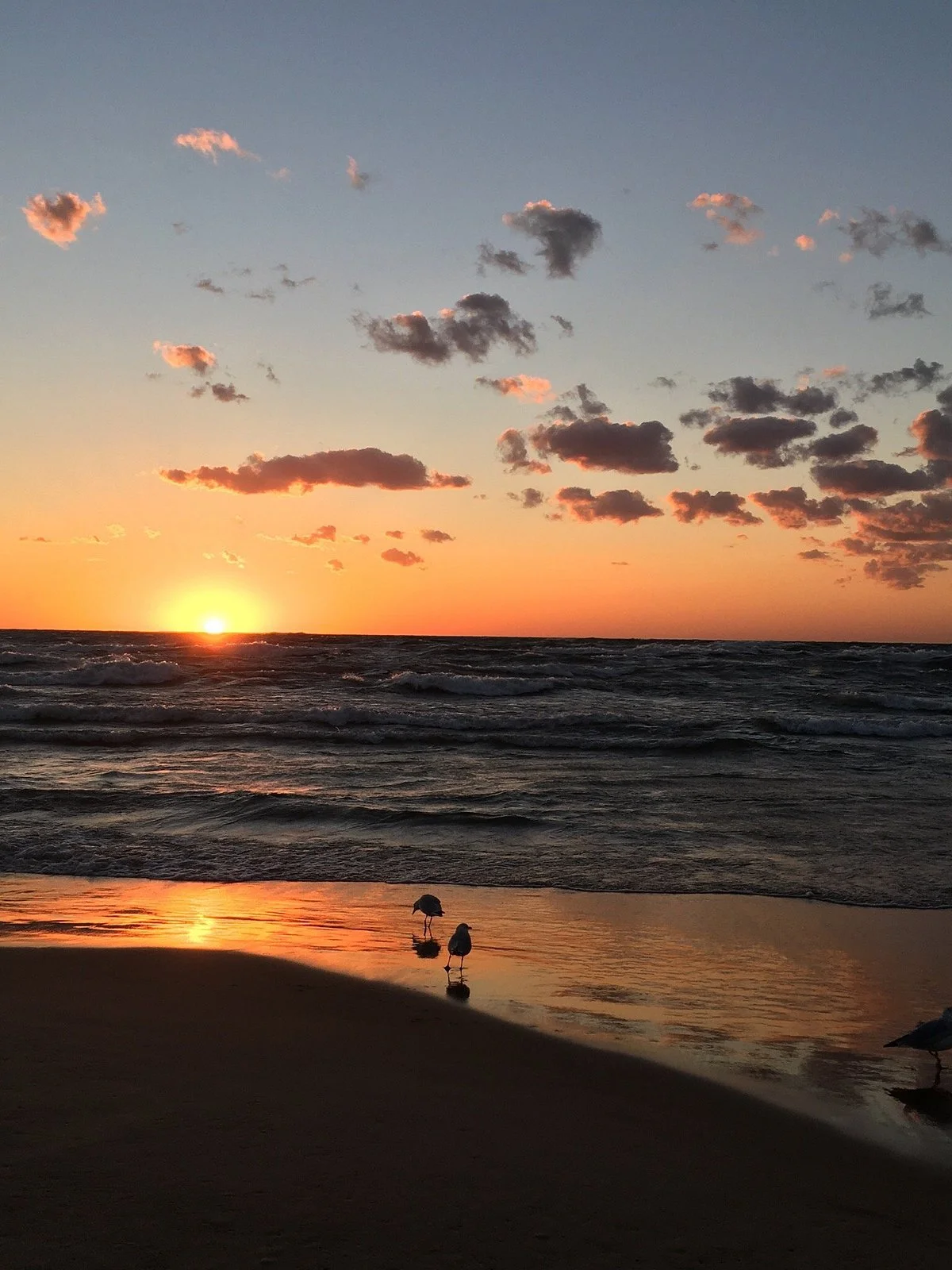 Silver Beach County Park